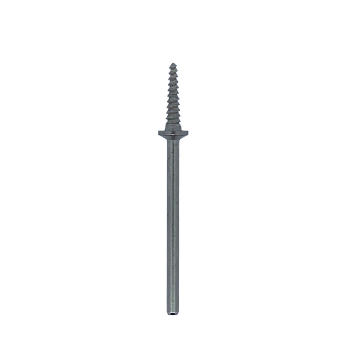 EVE - Silicone Unmounted Points Cylinder