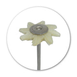 Mounted Bristle Hair Brush - White