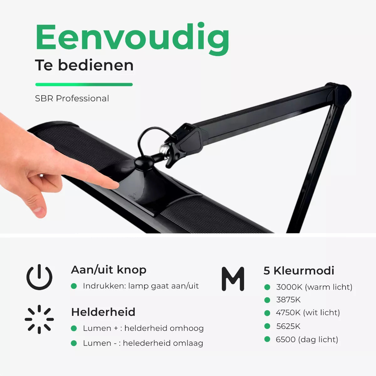 SBR Professional Daylight Lamp