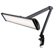SBR Professional Daylight Lamp